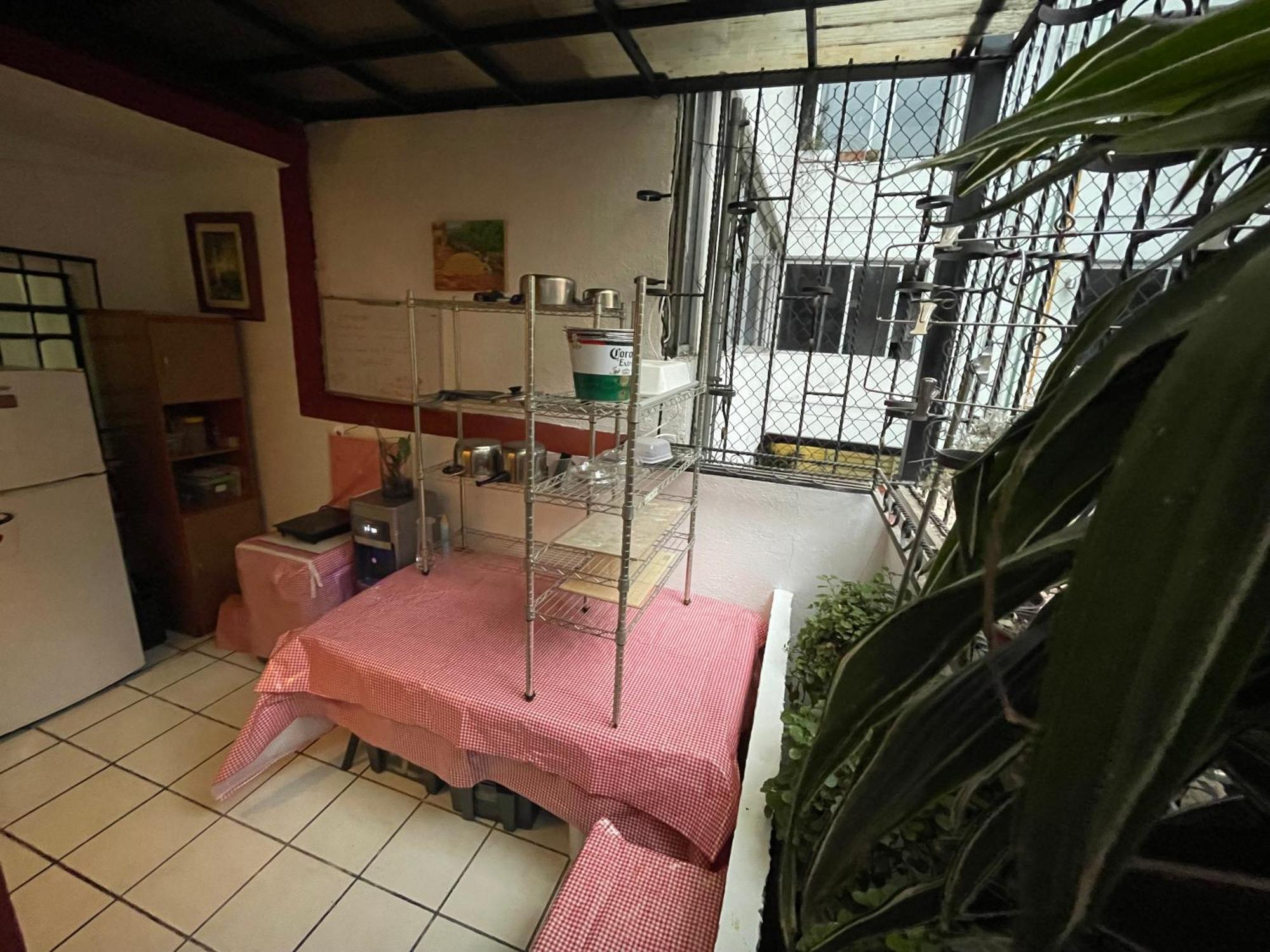Hostal Roma Condesa Meksyk Zewnętrze zdjęcie