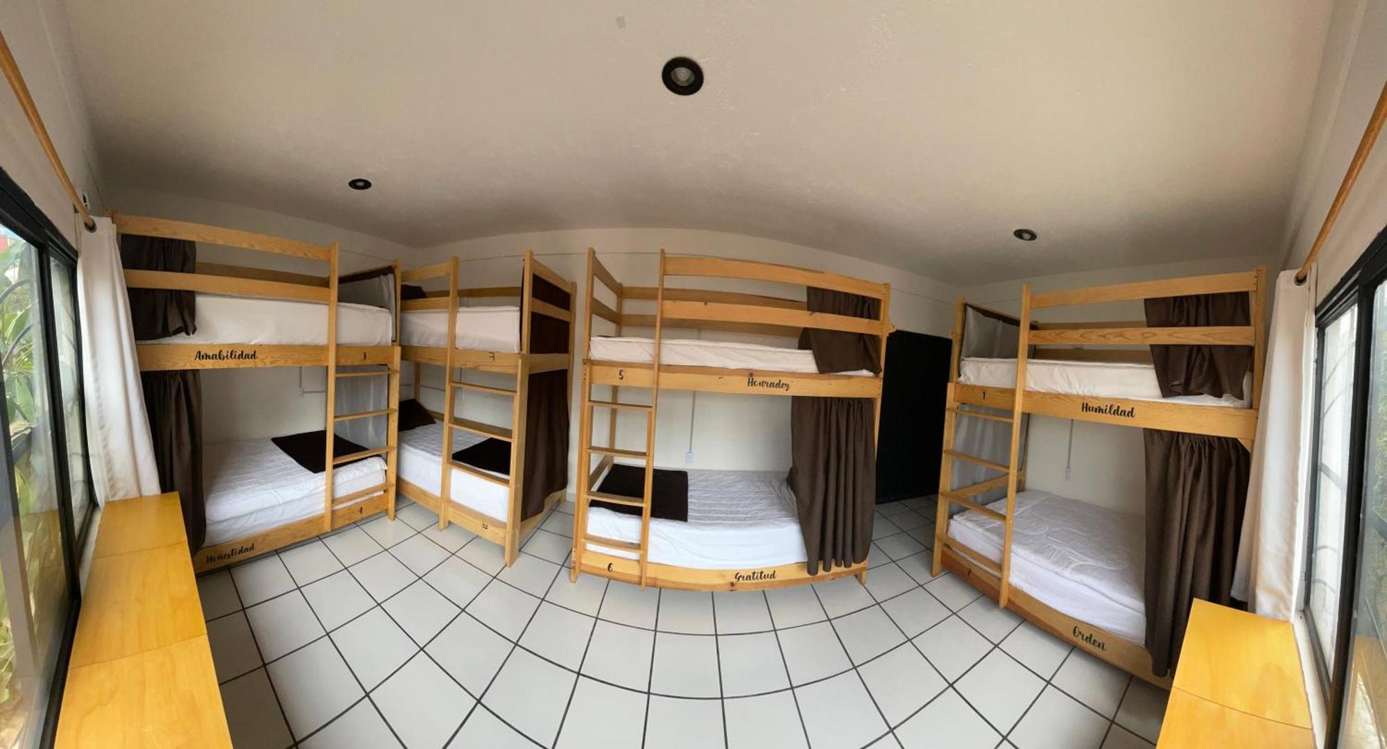 Hostal Roma Condesa Meksyk Zewnętrze zdjęcie